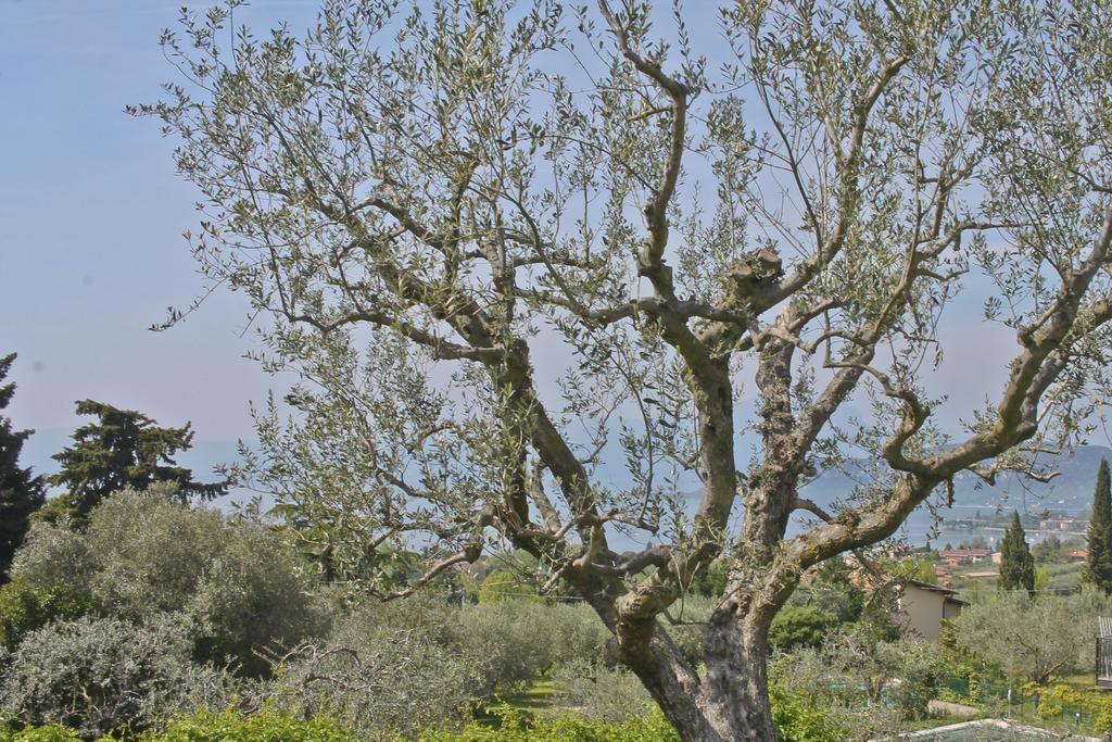 Lovely Villa Elena - Garda Lake Bardolino Exteriör bild